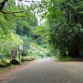 Review photo of Siuslaw National Forest Blackberry Campground by Jill T., October 20, 2020