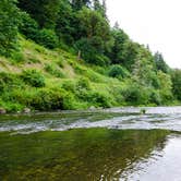 Review photo of Siuslaw National Forest Blackberry Campground by Jill T., October 20, 2020