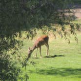 Review photo of Anthony Chabot Regional Park by Ed E., May 21, 2018