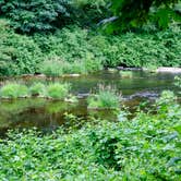 Review photo of Siuslaw National Forest Blackberry Campground by Jill T., October 20, 2020