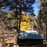 Review photo of Hyde Memorial State Park Campground by Megan  E., October 20, 2020