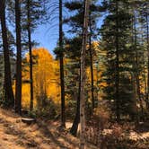 Review photo of Hyde Memorial State Park Campground by Megan  E., October 20, 2020