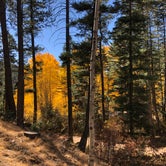 Review photo of Hyde Memorial State Park Campground by Megan  E., October 20, 2020