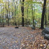 Review photo of High Cliff State Park Campground by Laura D., October 20, 2020