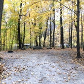 Review photo of High Cliff State Park Campground by Laura D., October 20, 2020