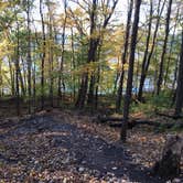 Review photo of High Cliff State Park Campground by Laura D., October 20, 2020