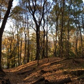 Review photo of High Cliff State Park Campground by Laura D., October 20, 2020