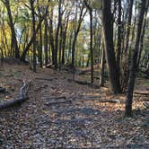 Review photo of High Cliff State Park Campground by Laura D., October 20, 2020