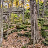 Review photo of High Cliff State Park Campground by Laura D., October 20, 2020