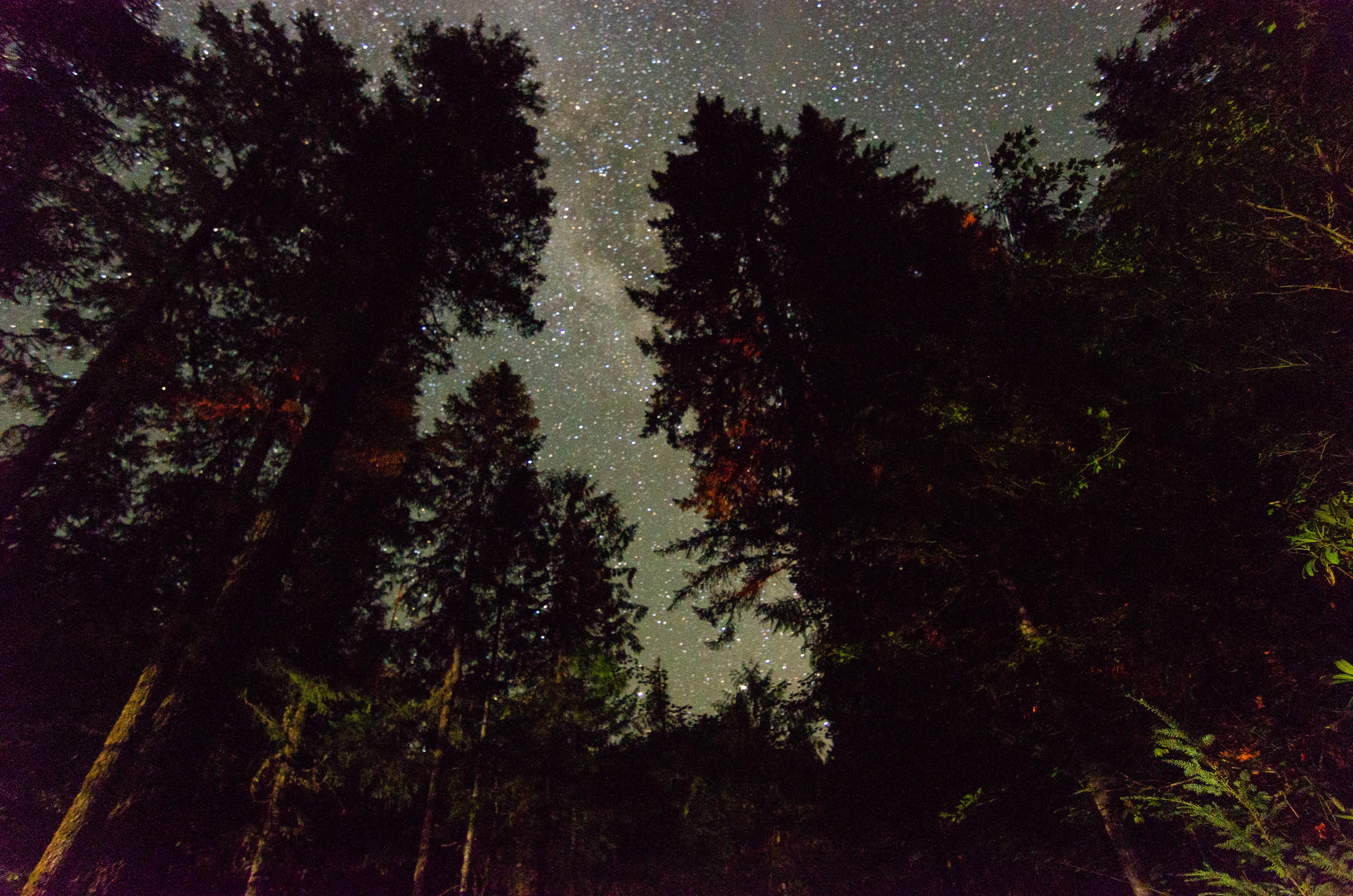 Camper-submitted photo at Whispering Falls Campground near Idanha, OR