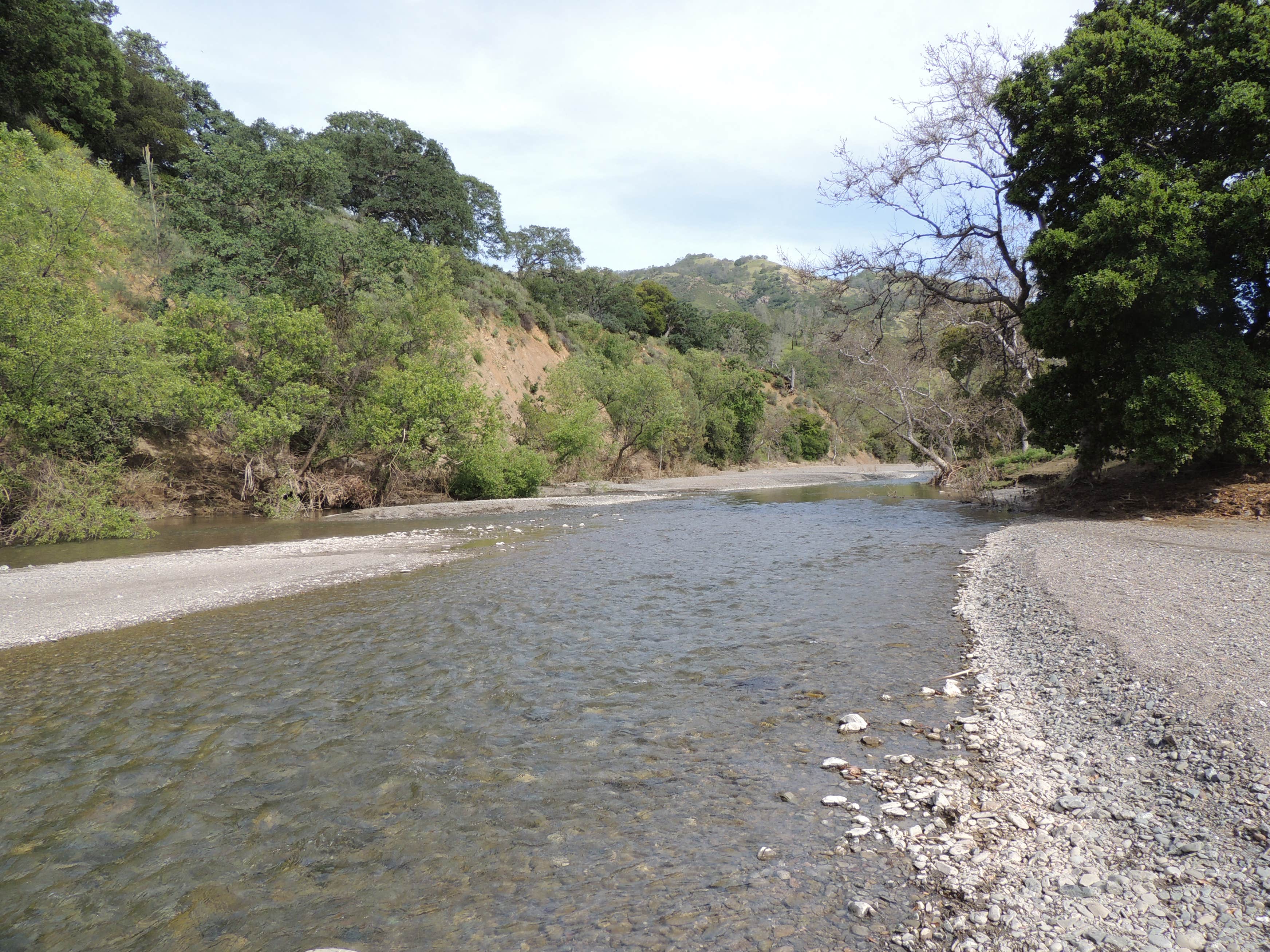 Del Valle Regional Park Camping | The Dyrt