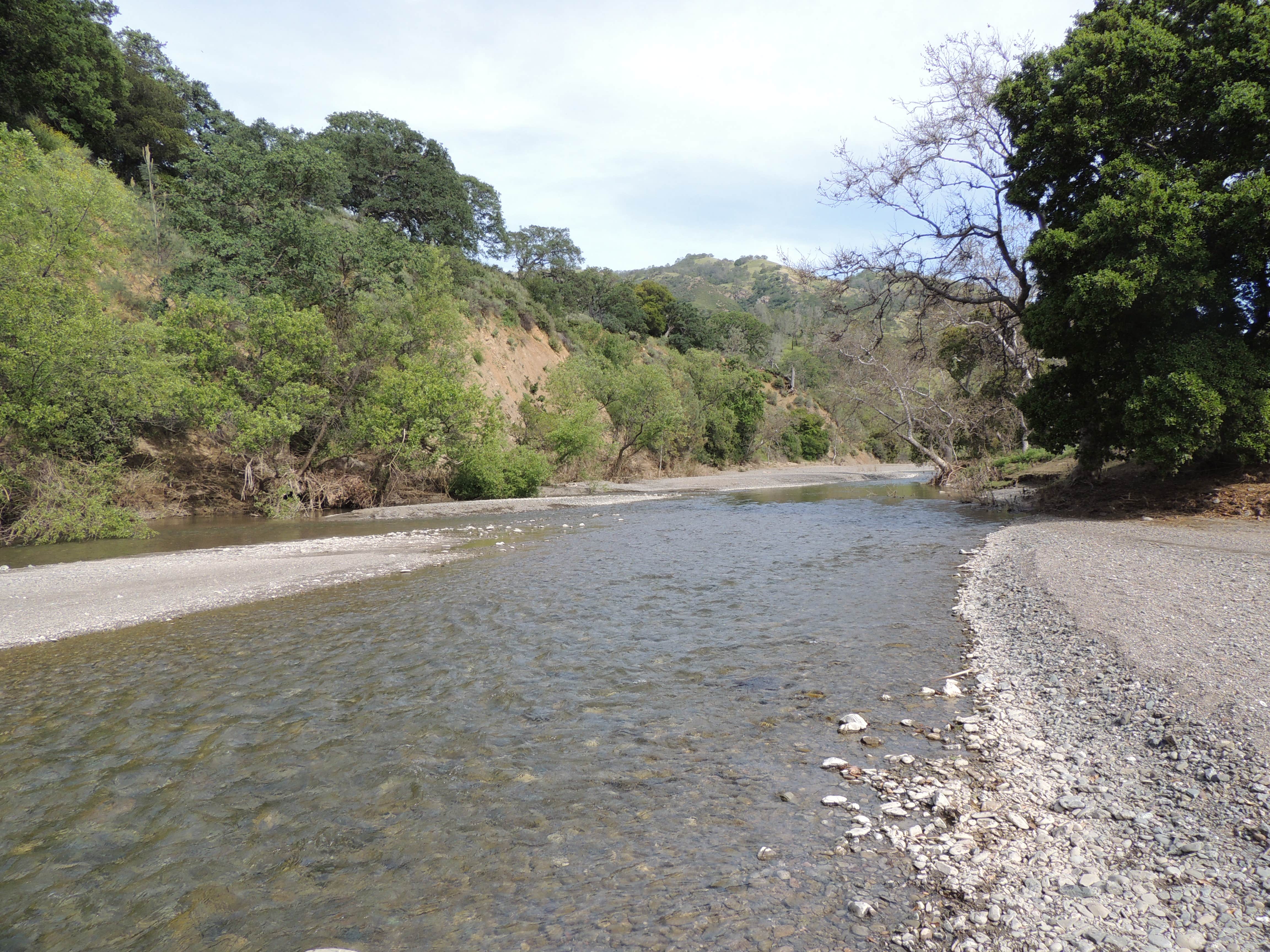 Camper submitted image from Del Valle Regional Park - 3