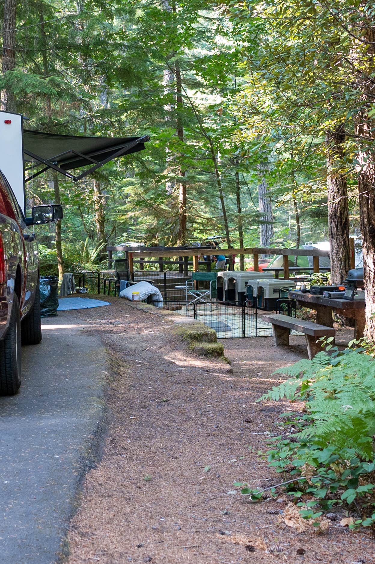 Camper submitted image from Cove Creek - 4