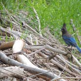 Review photo of Del Valle Regional Park by Ed E., May 21, 2018