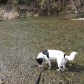 Review photo of Del Valle Regional Park by Ed E., May 21, 2018