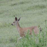 Review photo of Del Valle Regional Park by Ed E., May 21, 2018