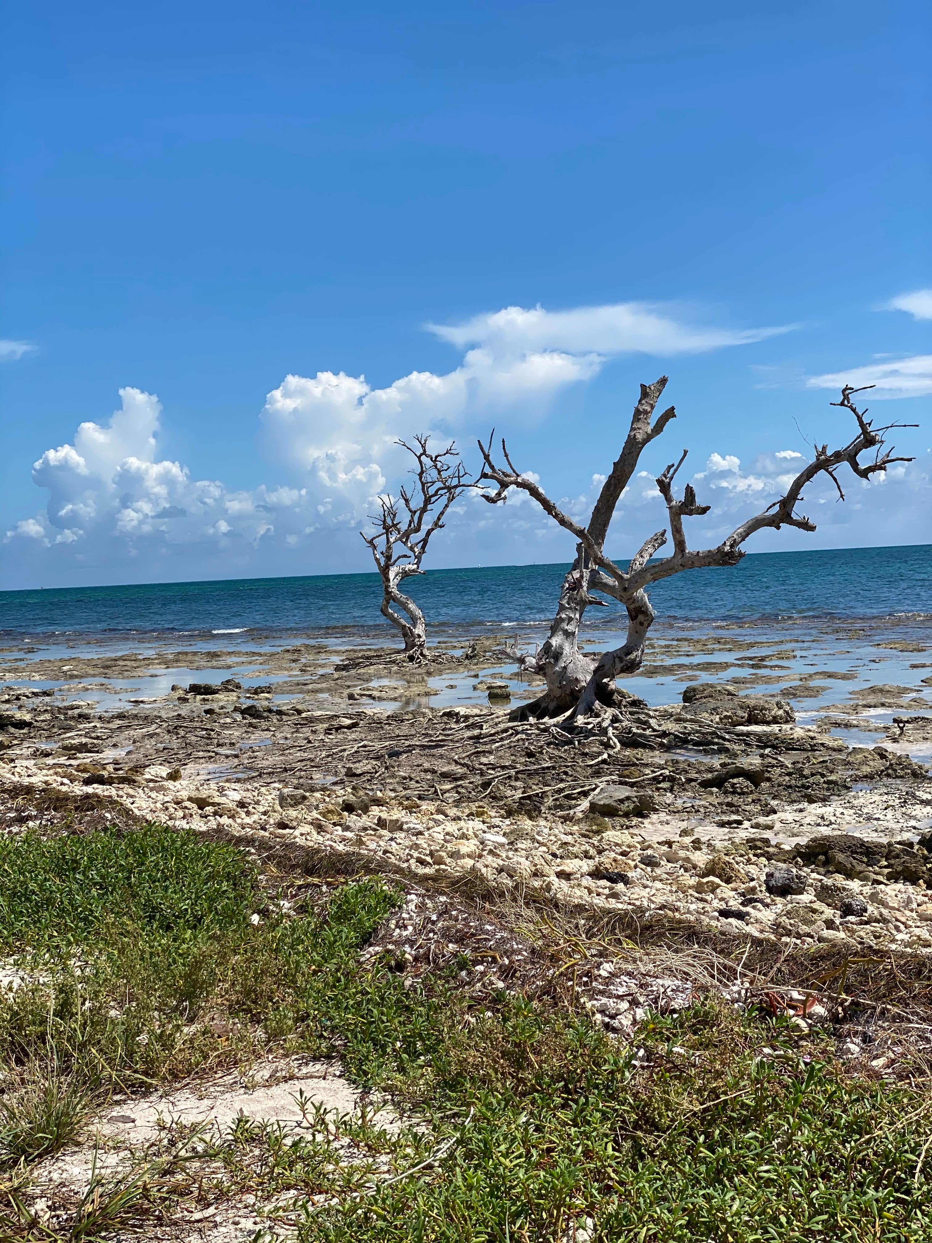 Camper-submitted photo at John Pennekamp Coral Reef State Park Campground near Biscayne National Park
