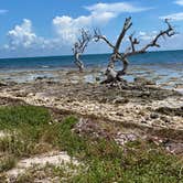 Review photo of John Pennekamp Coral Reef State Park Campground by Lilian , October 20, 2020