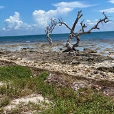 Review photo of John Pennekamp Coral Reef State Park Campground by Lilian , October 20, 2020