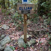 Review photo of Forestry Road Dispersed Campsite by Mark M., October 20, 2020