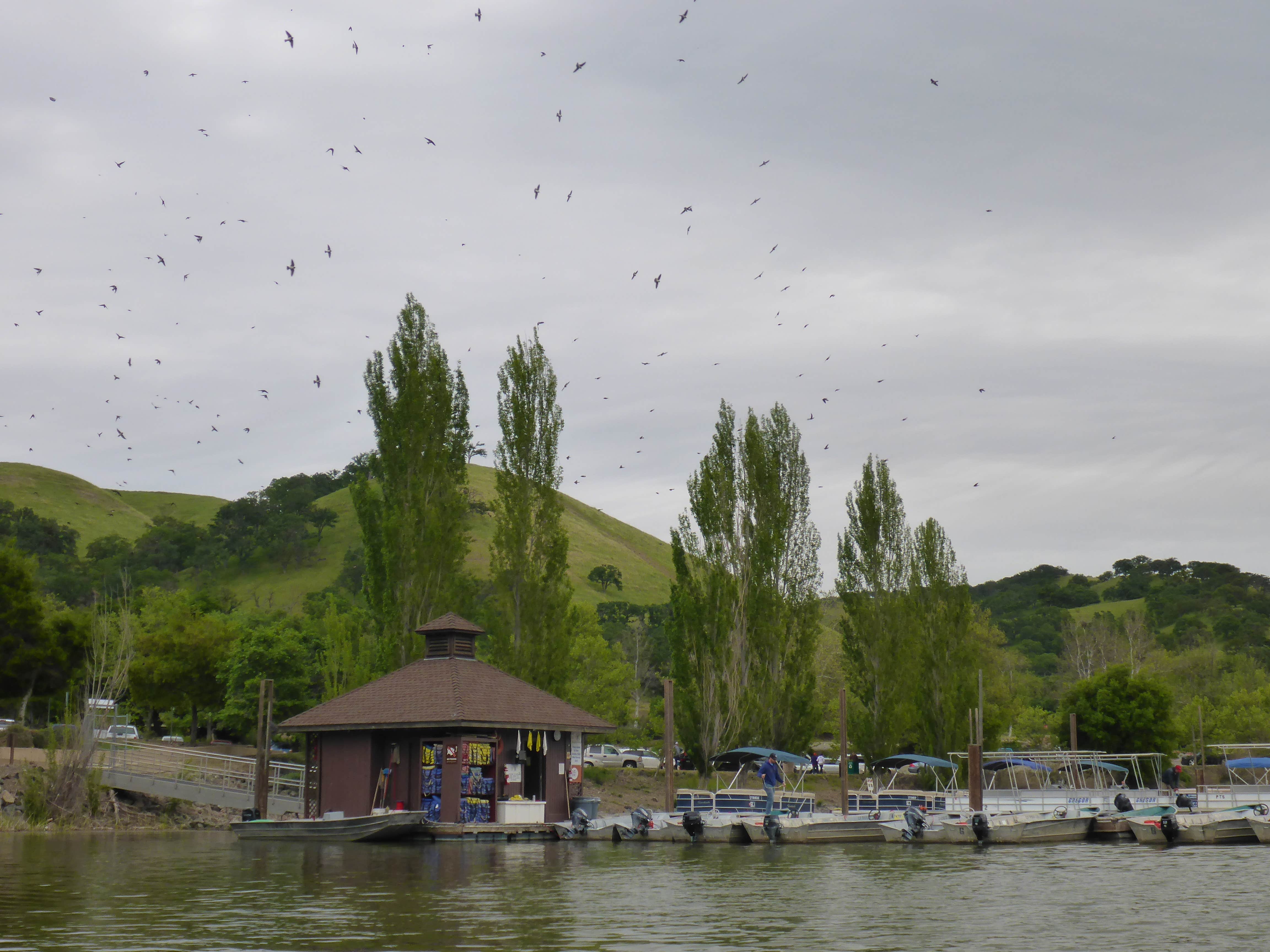 Camper-submitted photo at Del Valle Campground — East Bay Regional Park District near Pittsburg, CA