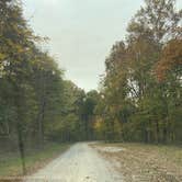 Review photo of Saddle Lake Campground — Hoosier National Forest by Rica Z., October 20, 2020