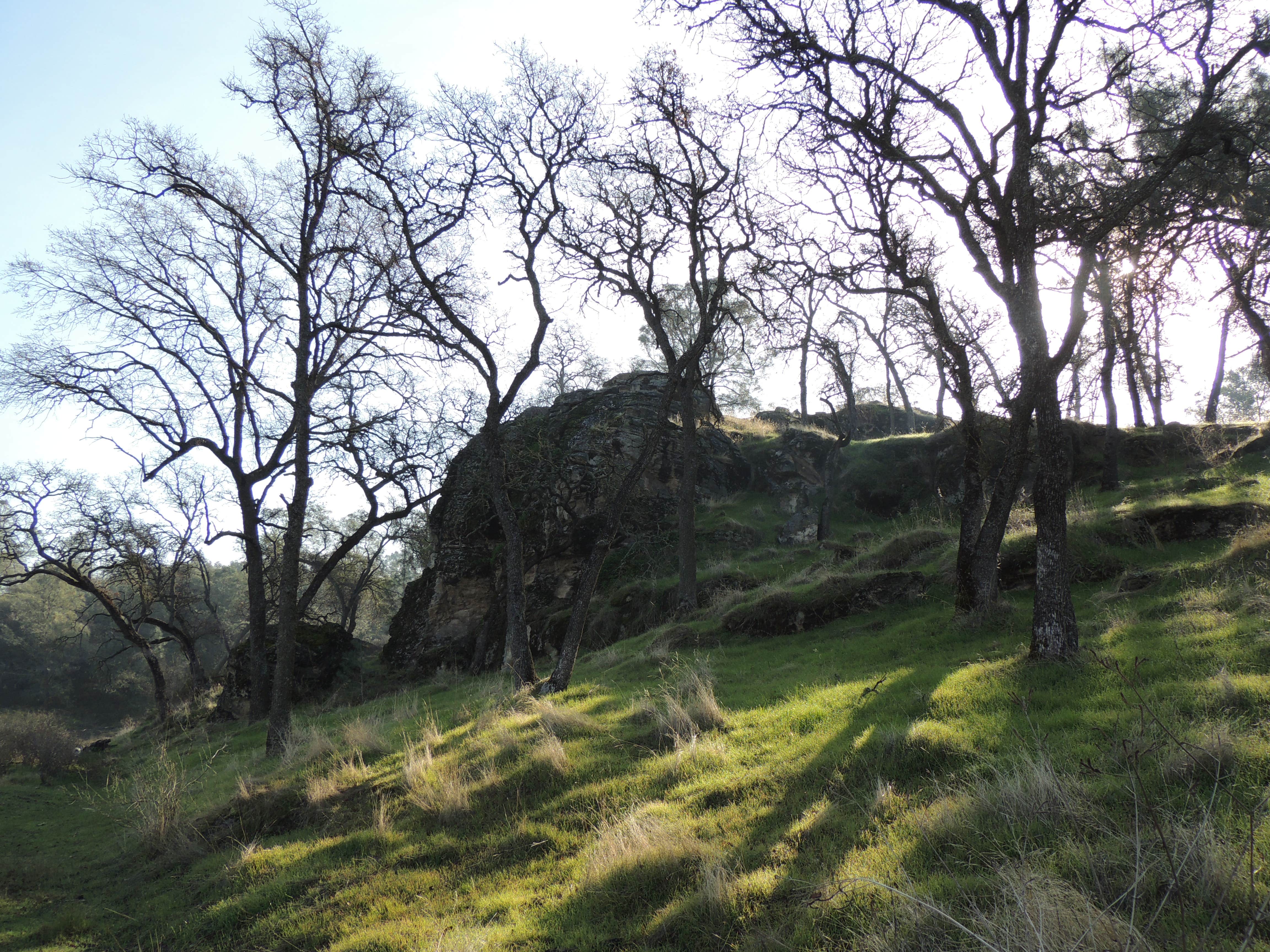 Nature