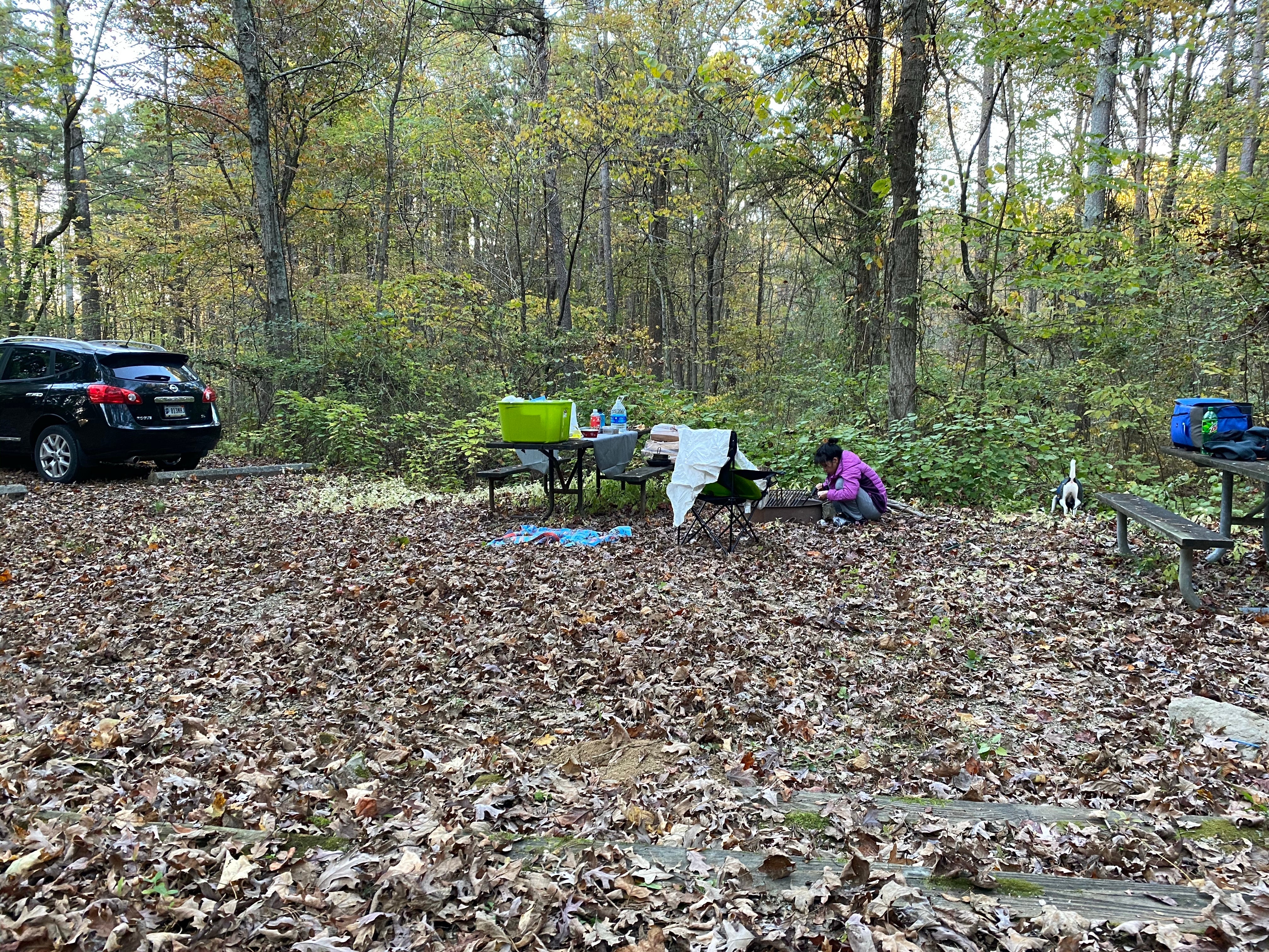 Camper submitted image from Hoosier National Forest North Face Loop Campground - 3
