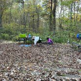 Review photo of Hoosier National Forest North Face Loop Campground by Rica Z., October 20, 2020