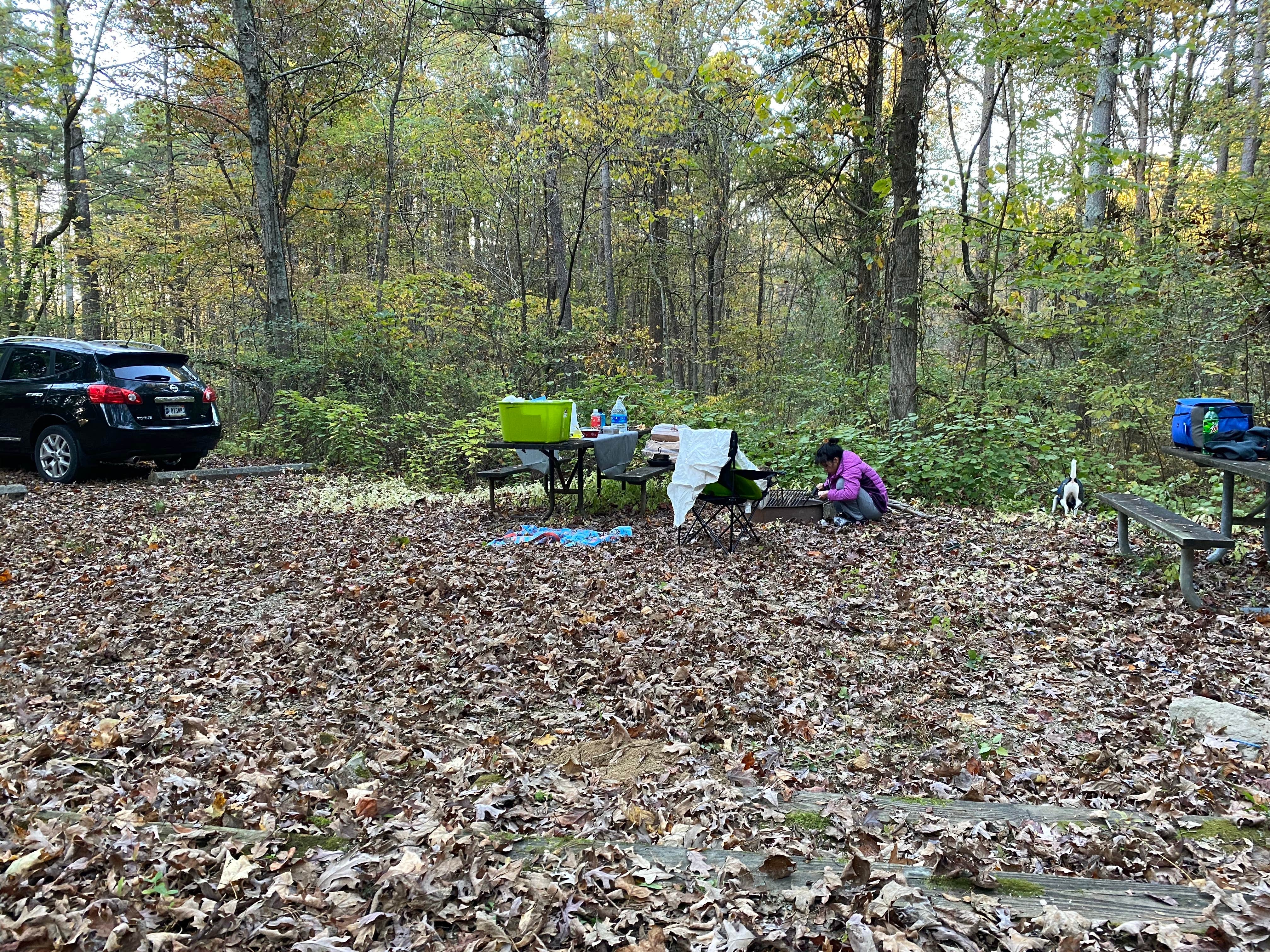 Camper submitted image from Hoosier National Forest North Face Loop Campground - 3