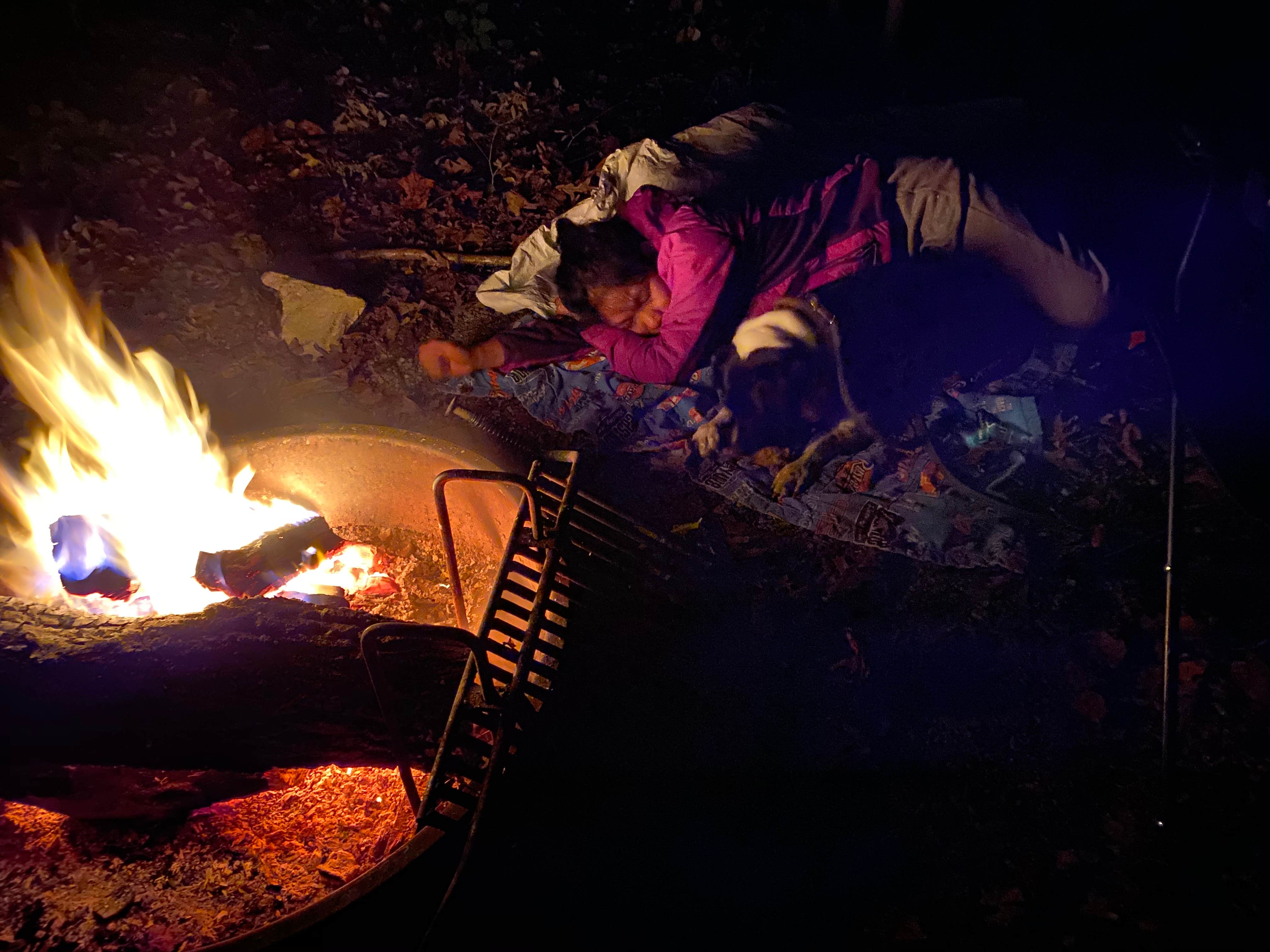 Camper submitted image from Hoosier National Forest North Face Loop Campground - 1