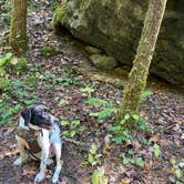 Review photo of Koomer Ridge Campground — Daniel Boone National Forest by Rica Z., October 20, 2020