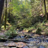 Review photo of Koomer Ridge Campground — Daniel Boone National Forest by Rica Z., October 20, 2020