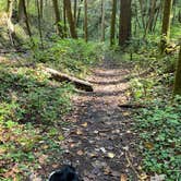 Review photo of Koomer Ridge Campground — Daniel Boone National Forest by Rica Z., October 20, 2020