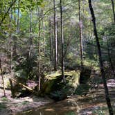 Review photo of Koomer Ridge Campground — Daniel Boone National Forest by Rica Z., October 20, 2020