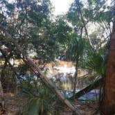 Review photo of Koreshan State Park Campground by Juanita F., October 20, 2020