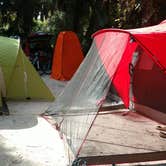 Review photo of Koreshan State Park Campground by Juanita F., October 20, 2020