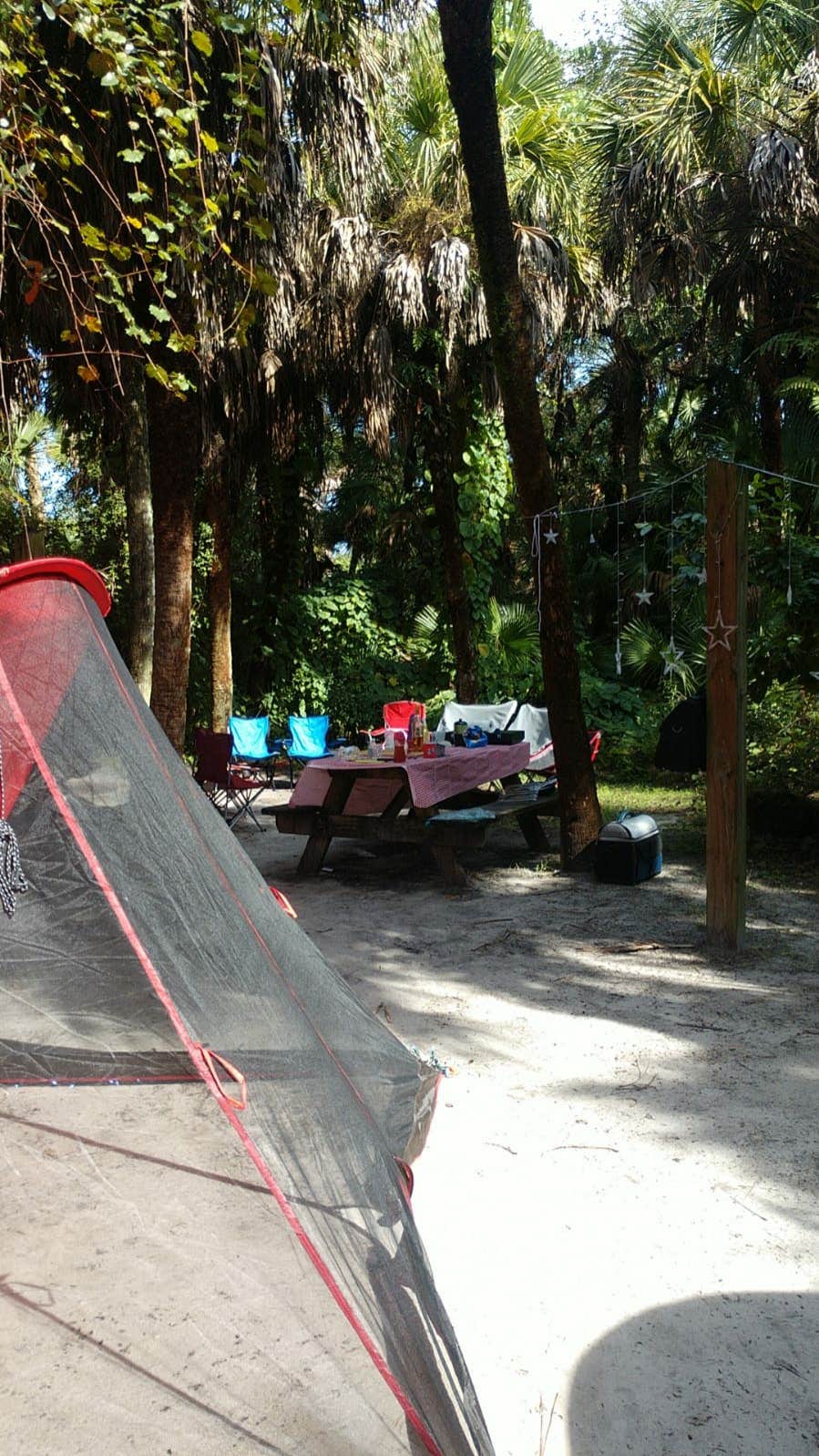 Camper-submitted photo at Koreshan State Park Campground near Everglades City, FL