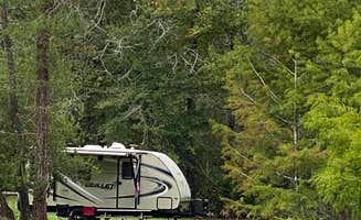 Steve N.'s photo at Suwannee River Hideaway Campground near Trenton, FL