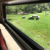 Review photo of Suwannee River Hideaway Campground by Steve N., October 20, 2020