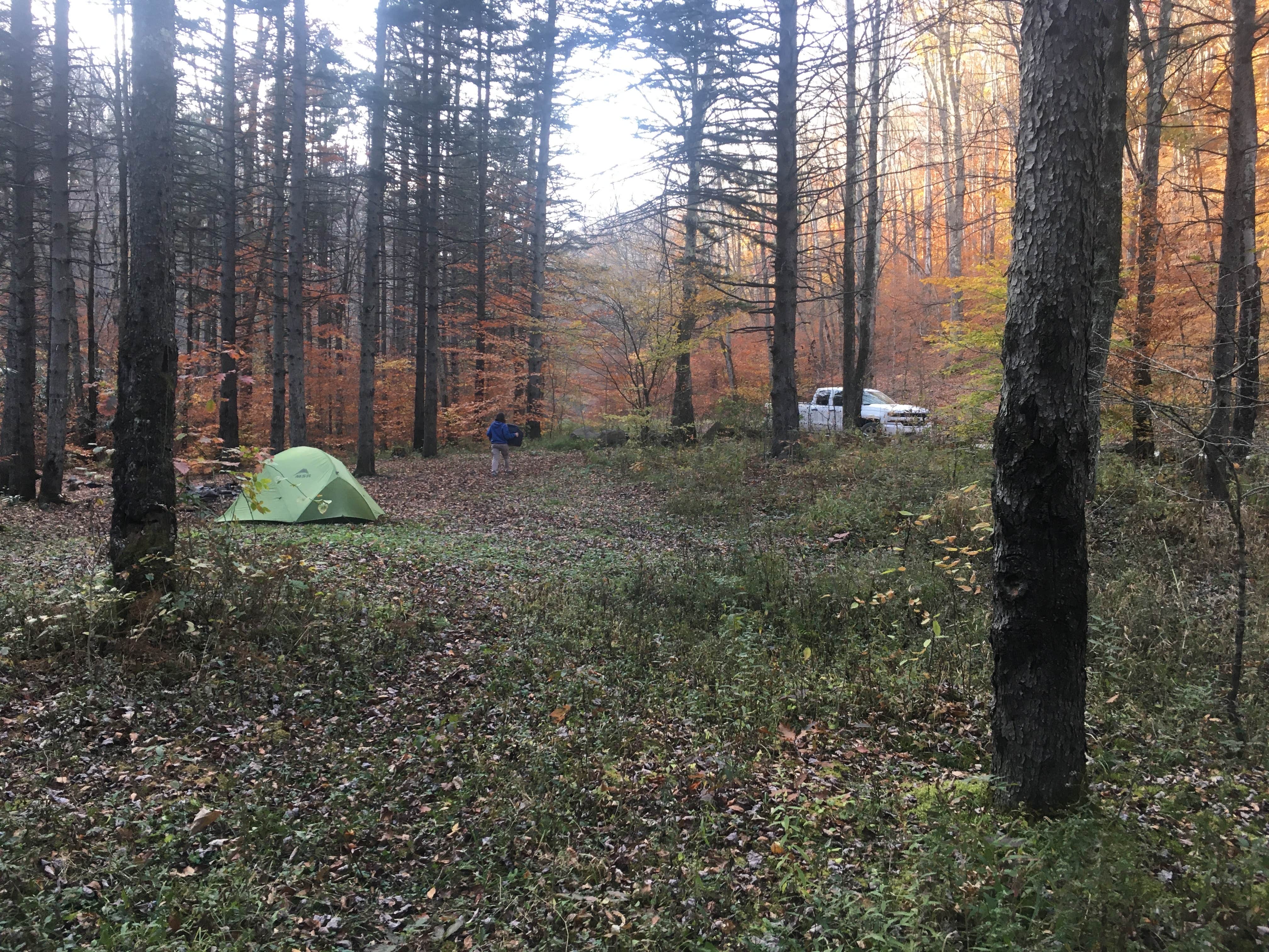 Marino's photo at Gandy Creek Dispersed Camping near Glady, WV