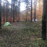Review photo of Gandy Creek Dispersed Camping by Marino , October 20, 2020