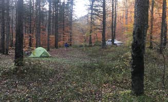Marino's photo at Gandy Creek Dispersed Camping near Glady, WV