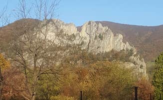 Marino's photo at Seneca Shadows near Circleville, WV