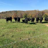 Review photo of Fancy Gap-Blue Ridge Parkway KOA by Debbie F., October 20, 2020