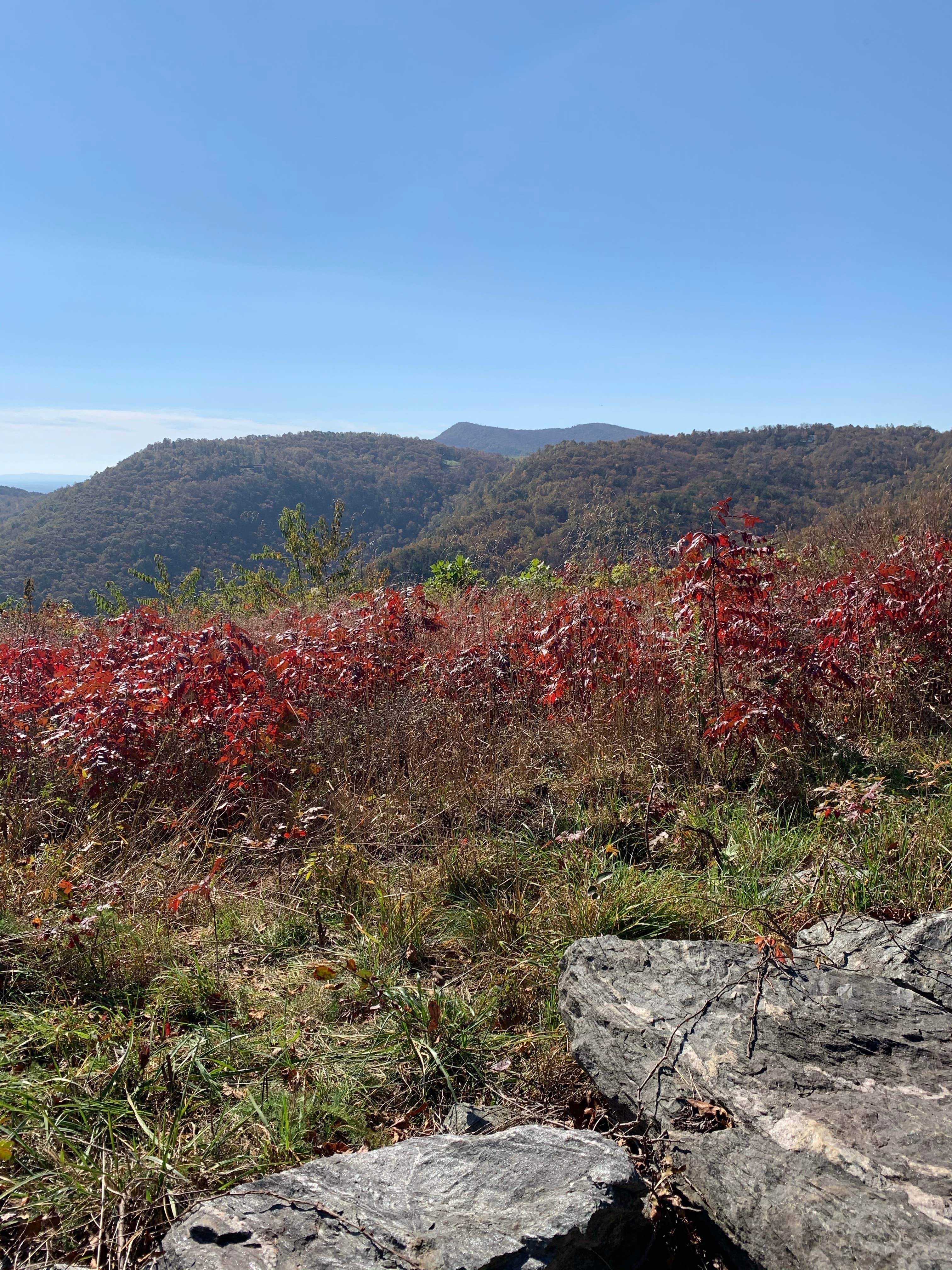 Camper-submitted photo at Fancy Gap-Blue Ridge Parkway KOA near Draper, VA