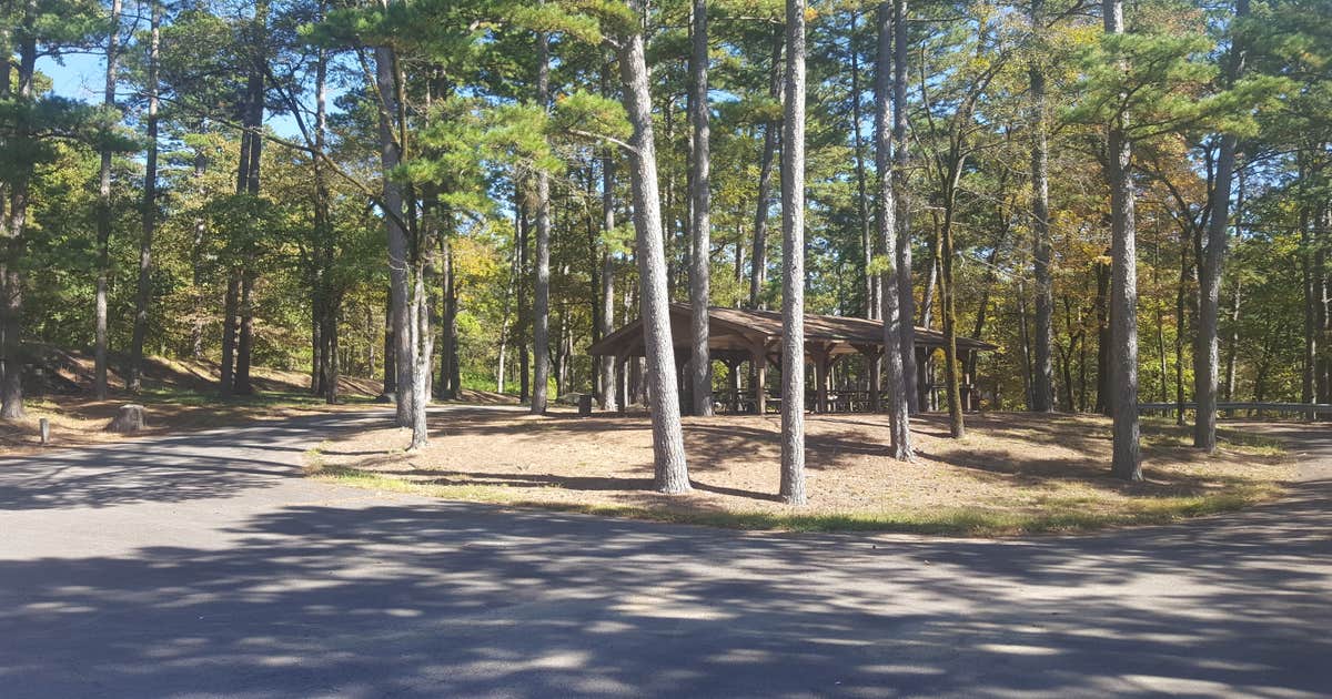 COE Nimrod Lake Carter Cove Campground