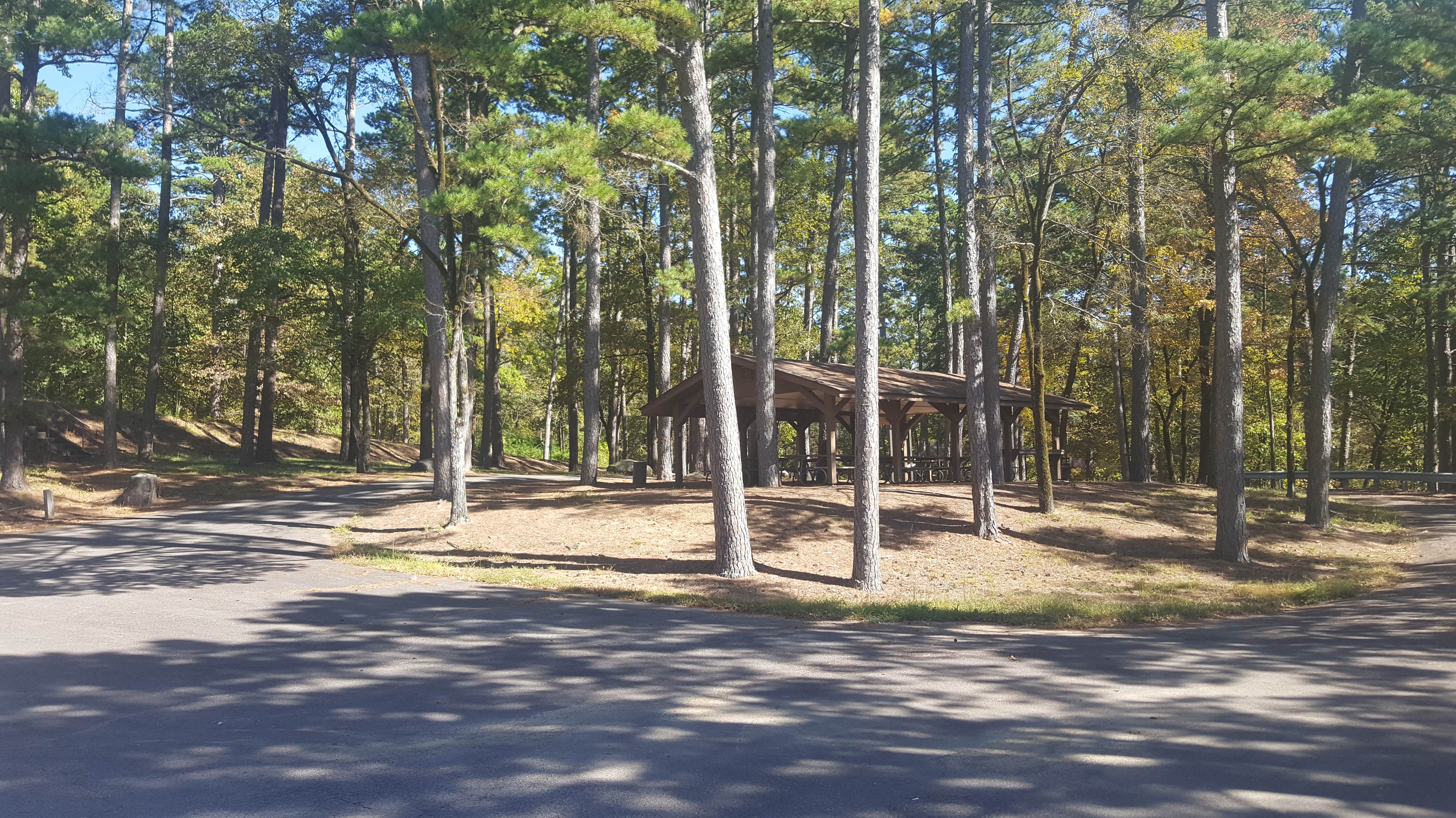 Camper submitted image from COE Nimrod Lake Carter Cove Campground - 1