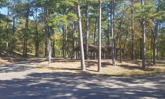Camping near County Line: COE Nimrod Lake Carter Cove Campground, Nimrod Lake, Arkansas