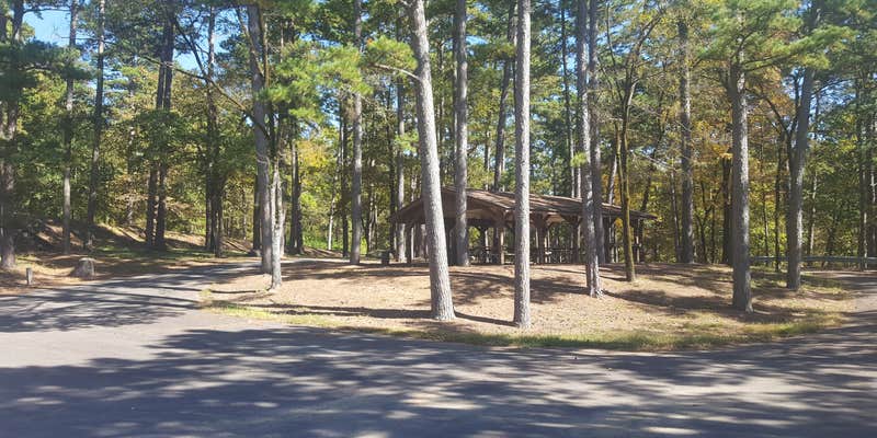 Camper submitted image from COE Nimrod Lake Carter Cove Campground